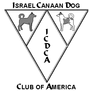 ICDCA logo