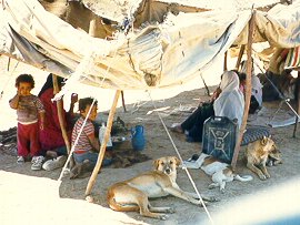 Bedouins and their dogs