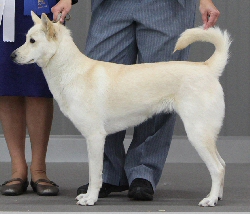 Reserve Best Female