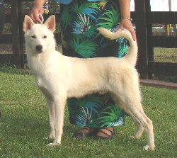 Reserve Best Male