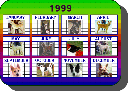 Dog of the Month