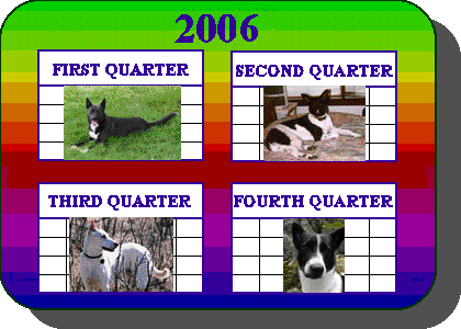 Dog of the Quarter