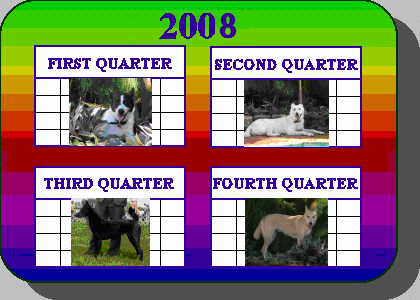Dog of the Quarter