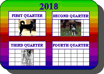 Dog of the Quarter